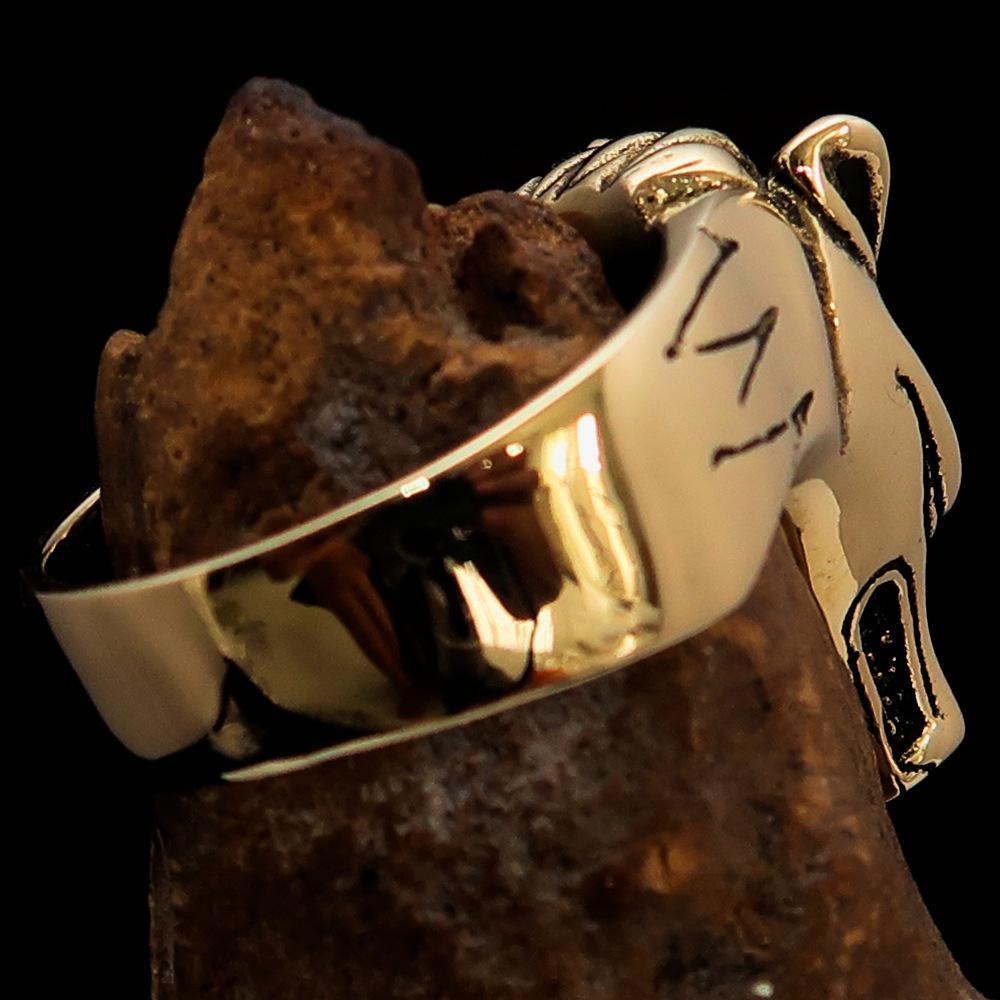 Excellent crafted Men's Jackal Costume Ring Egyptian Anubis God of Death - BikeRing4u