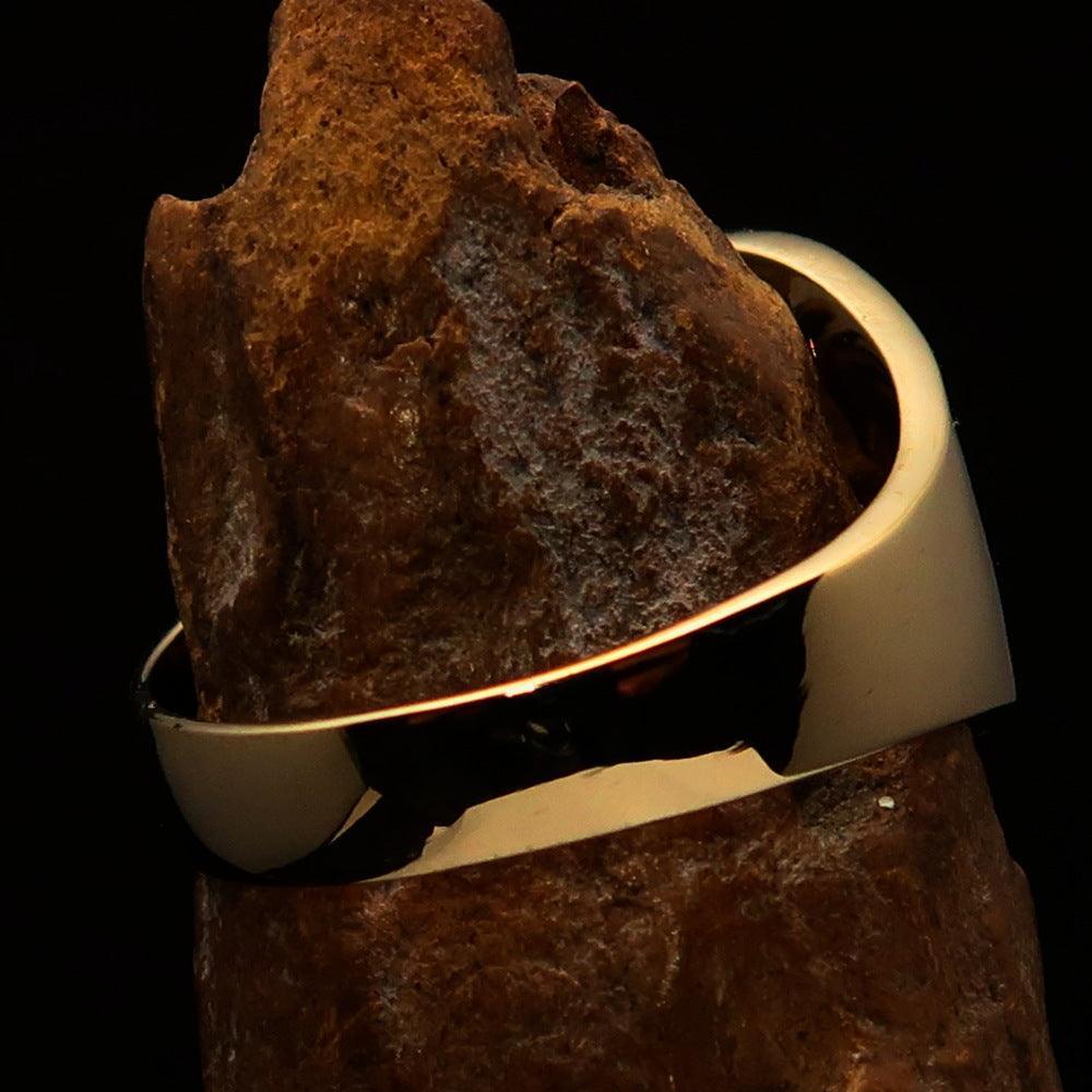 Nicely crafted Men's Claddagh Pinky Ring blue winged heart Star Moon - solid Brass - BikeRing4u