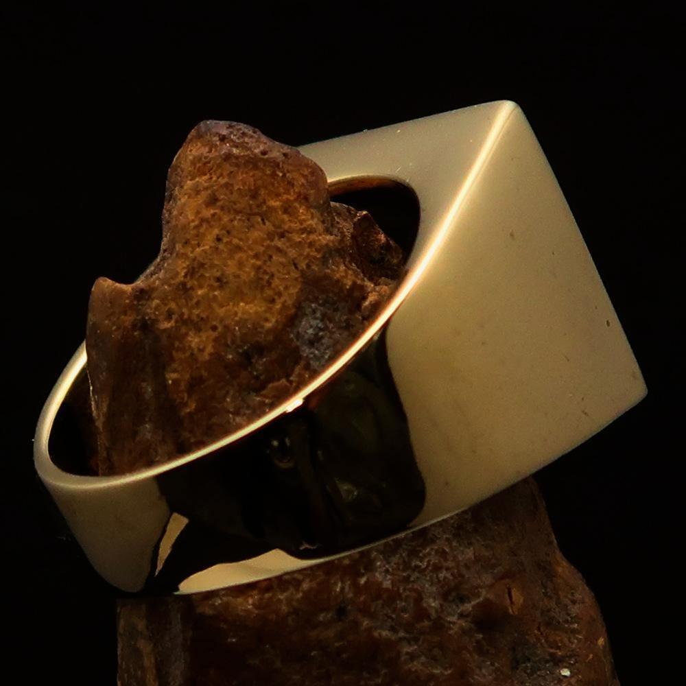 Perfectly crafted Men's Ring winged Lion of Venice Red - Solid Brass - BikeRing4u